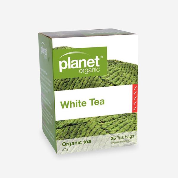 Organic White Tea (25 Teabags)
